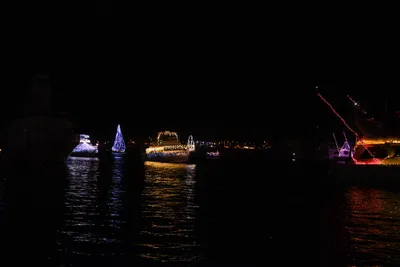 DSC_2495 (Large).JPG